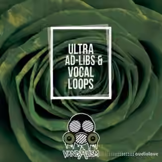 Vandalism Ultra Ad-Libs and Vocal Loops [WAV]