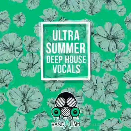 Vandalism Ultra Summer Deep House Vocals [WAV, MiDi] - Sample Pack Artwork