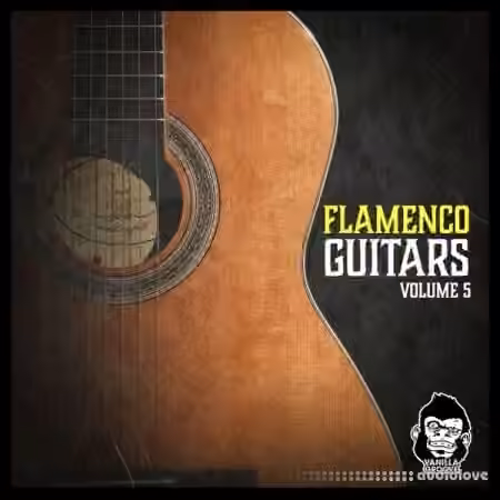 Vanilla Groove Studios Flamenco Guitars Vol.5 [WAV]