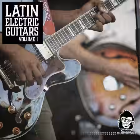 Vanilla Groove Studios Latin Electric Guitars Vol 1 [WAV]