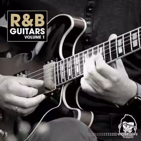 Vanilla Groove Studios RnB Guitars Vol.1 [WAV]