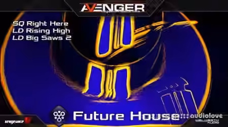 Vengeance Avenger Expansion Pack Future House [Synth Presets]