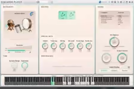 Vienna Symphonic Library Big Bang Orchestra Percussion v1.1 for Synchron Player