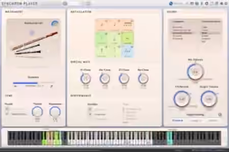 Vienna Symphonic Library Big Bang Orchestra Woodwinds v1.1 for Synchron Player