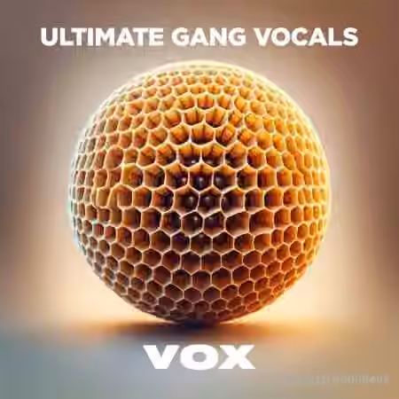 VOX Ultimate Gang Vocals [WAV]