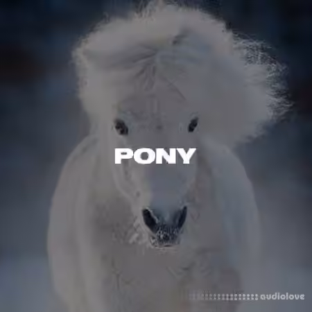 W6RST Tim Henson Pony Tabs