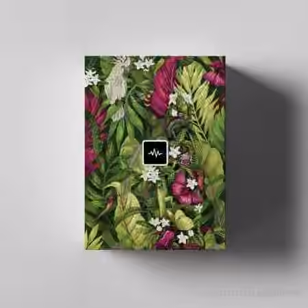 WavSupply JRHITMAKER Exotica (Midi Kit) [MiDi]