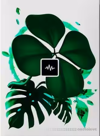 WavSupply JRHITMAKER Good Luck [MiDi]