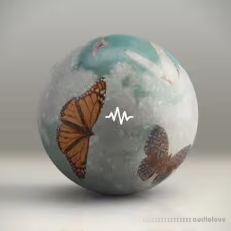 WavSupply nico baran Exotic Vol.3 (One-Shot Kit) [WAV]