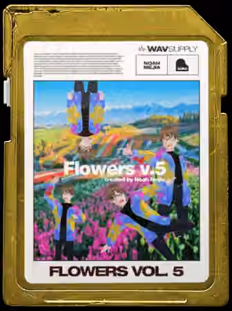 WavSupply Noah Mejia Flowers Vol.5 (One Shot Kit) [WAV]
