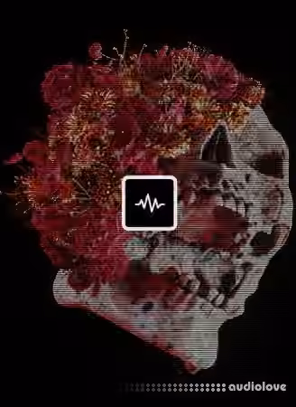 WavSupply Sidepce Stigma Vol.2 [WAV]