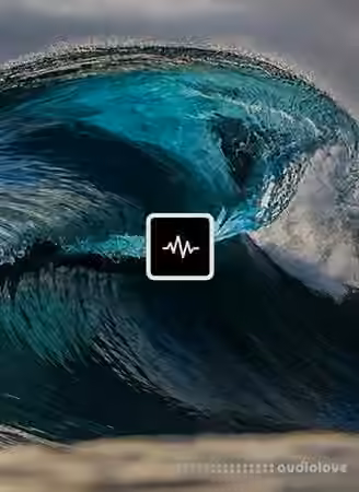 WavSupply TouchOfTrent Tsunami [Synth Presets]