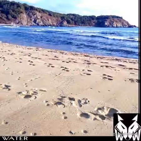 West Wolf Water [WAV]