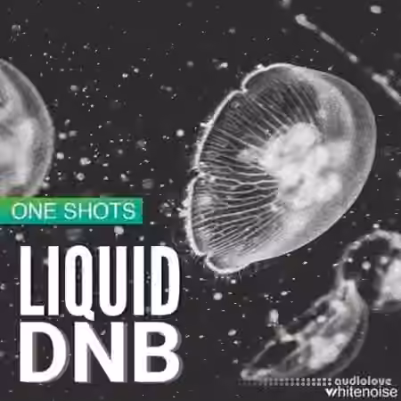 Whitenoise Records Liquid Drum & Bass ONESHOTS [WAV]