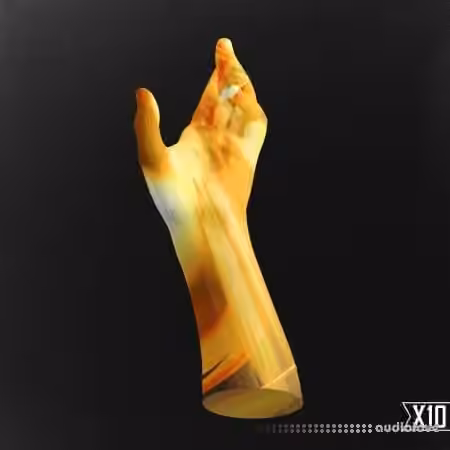 X10 Broken God Evolved Trap And Industrial Soul [WAV]