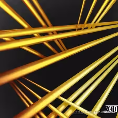 X10 String Theory Organic Trap and Processed Acoustics [WAV]