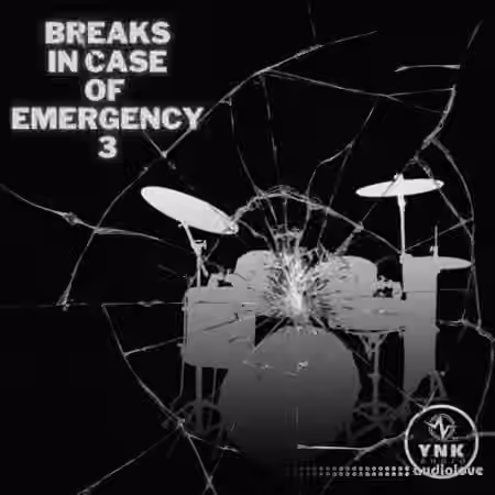 YnK Audio Breaks In Case of Emergency 3 [WAV]