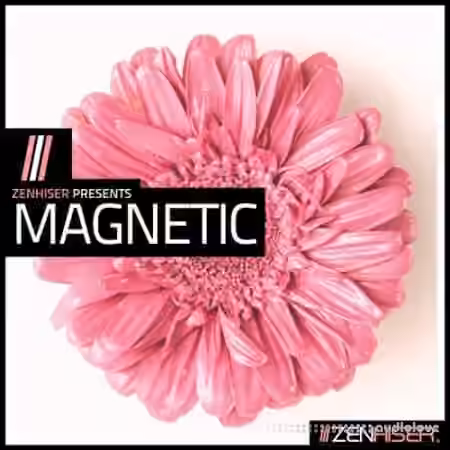 Zenhiser Magnetic [MULTiFORMAT]